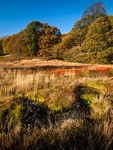 Rocher Bog