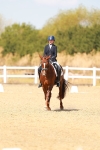 SBM_018341