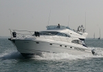 081011 CELTIC DELIGHT FAIRLINE