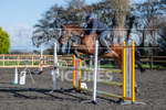 Senior Showjumping_10-11-2019-36