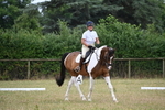 WJ6_9865