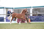 SBM_09748
