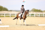 SBM_007983