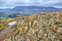 Catbells near Keswick 3