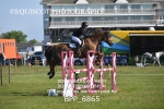 BPP_6865