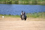 WJ6_8648