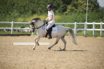 SBM_009741