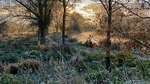 Autumn Sunrise 2