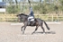 BPP_8443