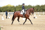 SBM_005603