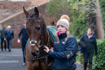 161125-Race 6-Bud Fox-1814