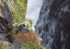 Living on the Edge