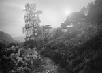 Lake District Light #5