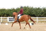 SBM_007653