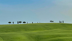 Tuscany iPhone - 11
