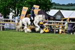 SBM_09381
