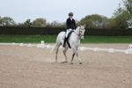Unaffiliated Dressage portfolio