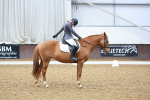 SBM_000981