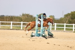SBM_002228