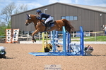 Cls 6, 7 & 8 Pony National 1.15m, 1.20m & 1.25 Open portfolio