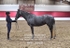 BPP_2529