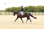 SBM_002358