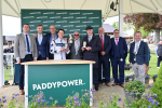 Race 5 4.10pm Paddy Power 'Fill Thi Boots' Stakes portfolio