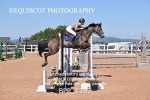 BPP_1397
