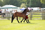 SBM_00680