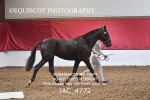 JAC_4772