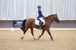 SBM_001247