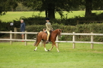 SBM_71638