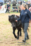 SHETPR 210425 30