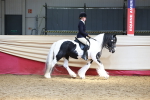 SBM_23298