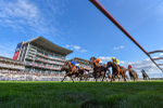 Race 7 5.20pm Sky Bet Mile Handicap portfolio