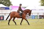 SBM_10742