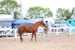 SBM_05754