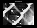 Cement Works 09