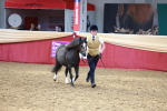 SBM_17369