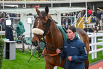 151125-Race 2-Imperial Alex-2599