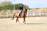 SBM_015263