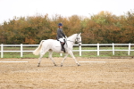 SBM_000681