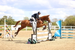 SBM_003934