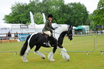 SBM_00891