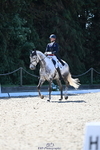 B-311-Barnie.Brotherton-WHIXLEY.QUALITAS portfolio