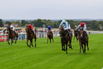 290826-Race 3-Fans Favourite-6462