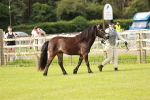 SBM_00388