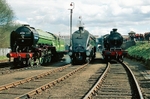 4th April 2009