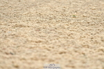 230708A-094558-02225