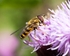 20110730-IMG_6201